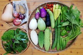 【農薬化学肥料不使用】バターナッツカボチャ入り野菜セット【８種類以上の野菜】【あわせ買い可】【熨斗(のし)対応可】【８０サイズ箱】