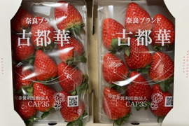 奈良県ブランド高級いちご(古都華)
280g✖️4パック