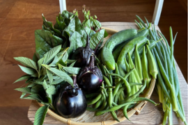 奥出雲産自然栽培野菜セット