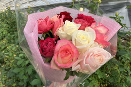 想いを伝える バラの花束（ピンク）