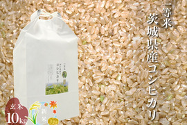 令和4年 新米 噛めば噛むほど旨味がでてくる茨城県コシヒカリ 玄米【一等米】【10kg】