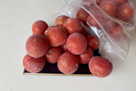 【冷凍】完熟ピークを瞬間ロック！真っ赤な完熟冷凍トマト🍅1kg