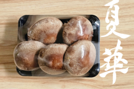 【福袋2025】徳島県産三ツ星しいたけ「夏華（なつか）」800g