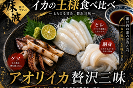 👑イカの王様三味解禁👑“最高峰”を三度味わう大人の贅沢☆天然国産『アオリイカ贅沢三味食べ比べセット』長州床波ブランド一押しの超豪華セット🌊約200g×3種【6月中旬予約】