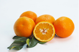 【ご注文受付中】伊予柑(いよかん)【家庭用(訳あり)】5kg 314-3