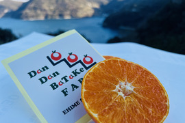 愛媛オリジナル品種！甘平！限定！（家庭用・3kg）