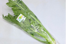 《絶品》豆乳で育ったセロリ1株　5株まで同梱可