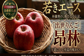 🍎わずか1%昂林こうりん🍎個数限定なかなかお目にかかれない気品高い高級りんご～品種指定キャンペーンお試し特価～🍎秋ギフト🍎【家庭用・贈答用】【10月下旬予約】