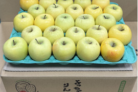 【小玉】シナノゴールド💛約4.5Kg🍏青森県産　数量限定