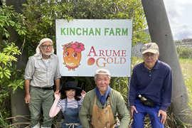 南国の太陽をたっぷり浴びて育ったとろける甘さのアップルマンゴー『アルメゴールド』