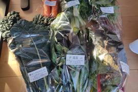 ✨【福袋】レアベジ・カボチャ含むお野菜セット（農薬・化成肥料不使用）おまけ付✨
