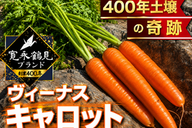 📺食彩の王国TV出演📺【お試し1キロ】糖度20度オーバー子供も虜になるヴィーナスキャロット【冬ギフト】