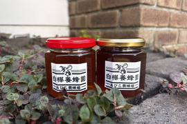 西洋蜜蜂 養蜂セット
