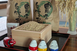 会津産　虹のきらめき　5キロ　（玄米）