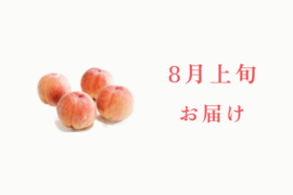 【８月上旬発送】桃好き必見！桃のリレーが楽しめる！季節の【桃】おうち用（もも）お試しセット 約4kg 約10~12玉