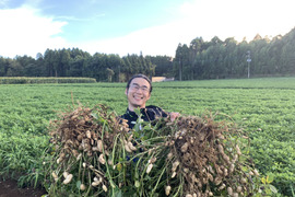 【9月中旬 予約】あんばい農園の自然栽培 生落花生おおまさり 4.5kg【レシピ付き】