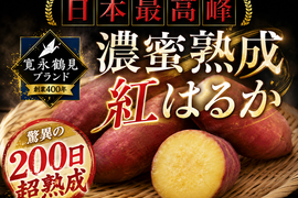 📺️日テレ沸騰ワード10紹介📺10周年記念番組で話題【日本最高峰200日超熟】極限まで"糖化"させた濃蜜紅はるか🍠寛永鶴見ブランドさつまいも【大容量約2kg】【冬ギフト】