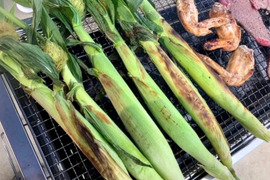 【今だけ】ホワイトショコラの白いヤングコーン（たっぷり6kg・数量限定）