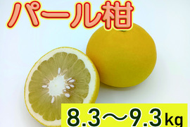 ビッグで上品な甘み！『パール柑』【8.3～9.3kg】