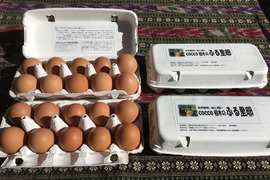 【加熱調理用】放し飼いの鶏が産んだ卵４０個入り