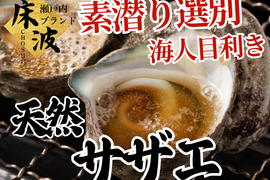 【素潜り選別一択】目利き漁師によって完全厳選された長州床波ブランド『天然国産サザエ』約1㎏【個数限定】【1月下旬予約】