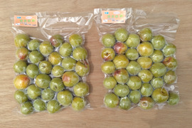 冷凍紀州南高梅！訳あり品　ヘタ取り・洗浄済み　 中粒～大粒 2kg  (1Kg×2袋)