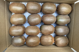 農薬不使用キウイフルーツ2Ｌ玉16個2.2kg