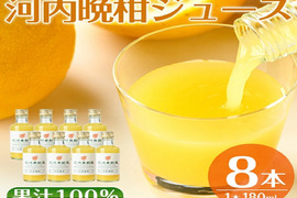 【ギフト】贅沢飲み切りタイプ！河内晩柑ストレートジュース　8本セット