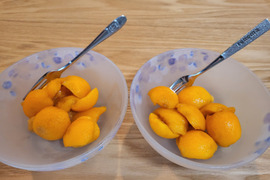 袋掛け栽培！愛知弥富びわ『茂木』12～18ヶ入り×2P　専用化粧箱入り