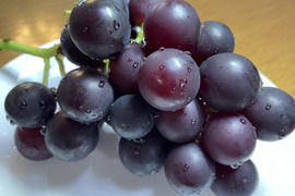 藤稔の通販｜ぶどう｜食べチョク｜産地直送(産直)お取り寄せ通販
