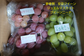 【訳あり】品種おまかせ　山梨県産ぶどう１ｋｇ【2～5房】　ご家庭用にどうぞ