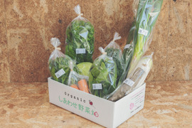 旨みと甘み　旬の有機野菜Lセット　しあわせ野菜畑（有機JAS）