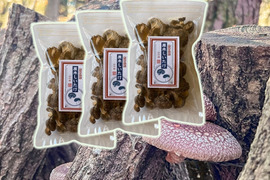 うまさ凝縮！熊本県産原木乾燥しいたけ【小袋】210ｇ（70ｇ×3個）