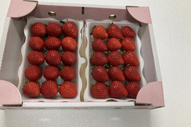 埼玉県産特選いちご　あまりん　べにたま　各1パック