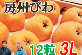 6月上旬～中旬発送『房州びわ/枇杷 3Lサイズ12個入り』南房総市産の大実の枇杷を農家から