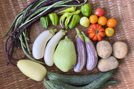 自然農 野菜セット🍀【農薬･肥料･ビニールマルチ不使用／固定種】