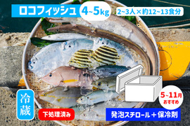 下処理⇒即日発送！ロコフィッシュ鮮魚ボックス4~5kg【発泡スチロール箱】