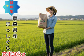 【お値打ち玄米30ｋｇ】令和7年産 青森県産「まっしぐら」紙袋玄米30ｋｇ 彩北米 自社生産 自社調整加工 プロフェッショナル米栽培 あおもり aomori 産直 良品種  さっぱり 美味しい