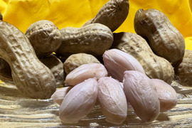【SSR品種の茹でる生落花生】「愛の香り」解禁っ《500g》【もっと甘いよ】