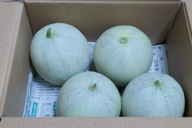 完熟プリンスメロン 約2kg 芳醇な香りと濃厚な風味。昔懐かしい味わい