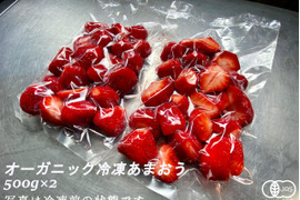 完熟！オーガニック冷凍あまおう 1kg(500g×2)
