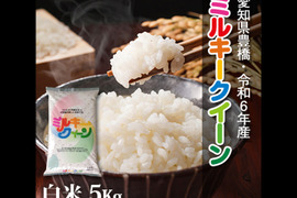 【節減対象農薬6割減】ミルキークイーン 白米5kg【令和6年・愛知県産】