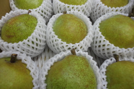 西洋梨　ラ・フランス 訳あり　ご家庭専用　3キロ箱使用　10個から13個入り　11月中旬から発送