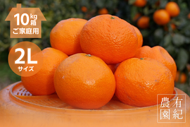本物をお得に！ 木成り完熟🍊ご家庭用 有田みかん【大玉・10kg箱】