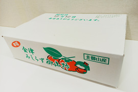 【開封日あり】会津みしらず柿（種なし）　約4kg　特上サイズ13玉