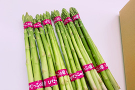 【期間限定】ひだっこアスパラ 1.5kg