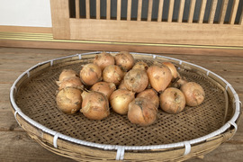 農薬・化学肥料不使用　玉ねぎ　箱込　５ｋｇ