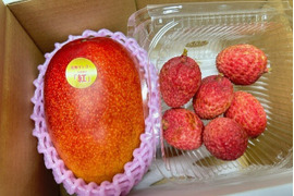 南国鹿児島産　完熟アップルマンゴー（約500g）＆　生ライチ（6個）　お試しセット