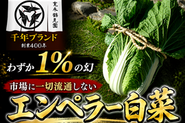 【ヒルナンデス出演】一般市場に流通しない『幻のエンペラー白菜』400年の伝統土壌で培われたブランド白菜【冬ギフト】2026年予約
