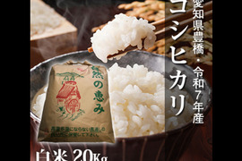【節減対象農薬6割減】】コシヒカリ 白米 20kg【令和7年・愛知県産】
